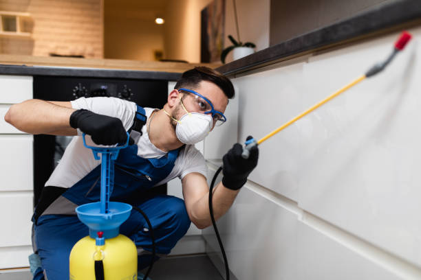 Best Insect Control  in Salem, NJ
