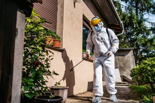 Best Emergency Pest Control  in Salem, NJ