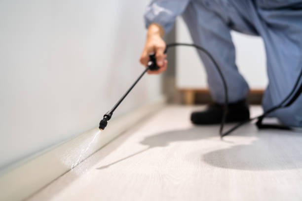 Flea Control Services in Salem, NJ