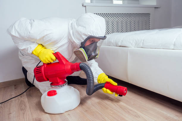 Best Pest Inspection Near Me  in Salem, NJ