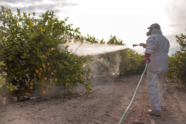 Best Exterminator Services  in Salem, NJ