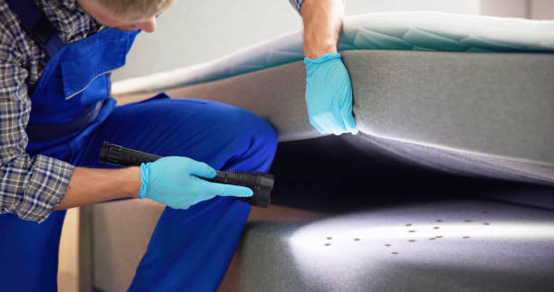 Pest Prevention Services in Salem, NJ