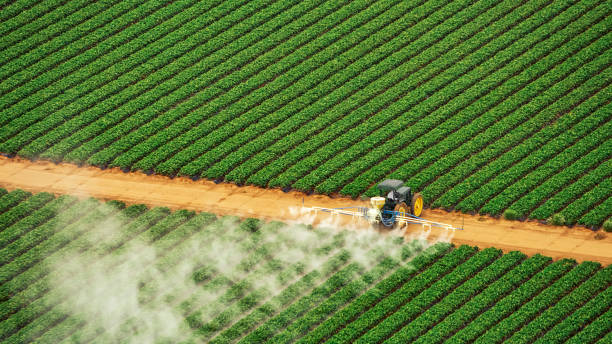 Best Mosquito Control Services  in Salem, NJ