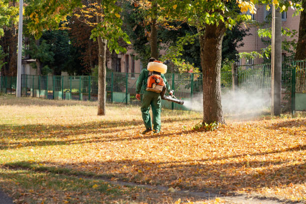 Best Rodent Control Near Me  in Salem, NJ