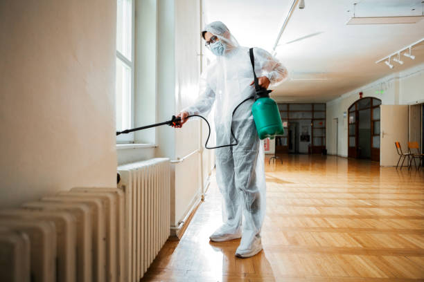 Best Termite Control Services  in Salem, NJ