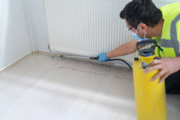 Best Best Pest Control Companies  in Salem, NJ